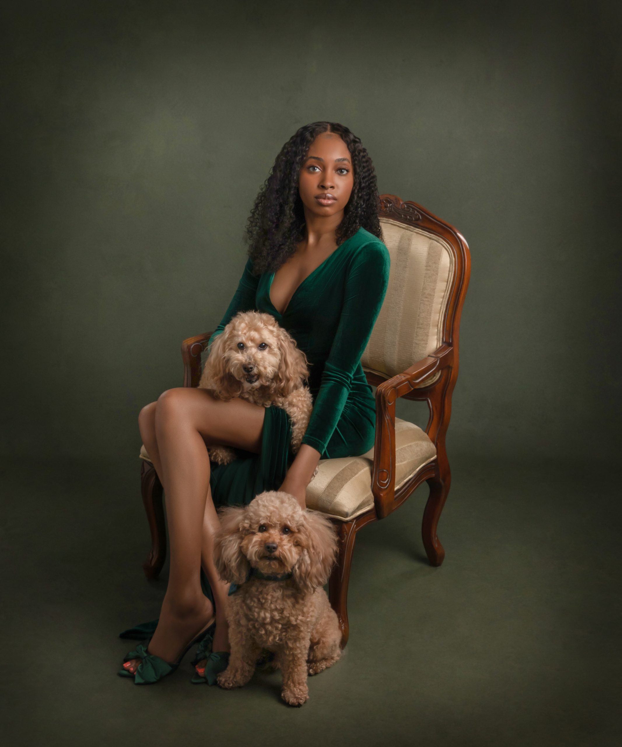 Emerald Armchair Pet Portrait